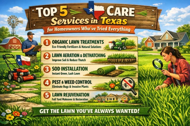 Top 5 Lawn Care Services